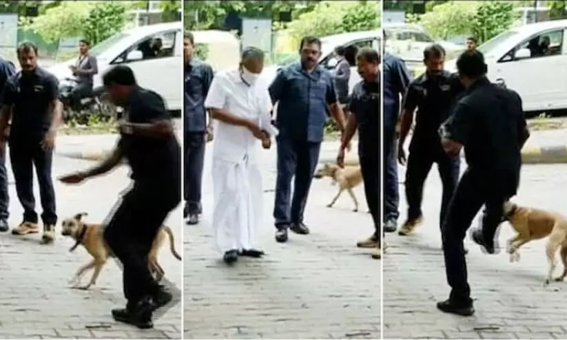 മുഖ്യമന്ത്രിക്ക് അടുത്തേക്ക് തെരുവുനായ്; ആട്ടിയോടിച്ച് സുരക്ഷാ ജീവനക്കാർ മുഖ്യമന്ത്രിക്ക് അടുത്തേക്ക് തെരുവുനായ്; ആട്ടിയോടിച്ച് സുരക്ഷാ ജീവനക്കാർ