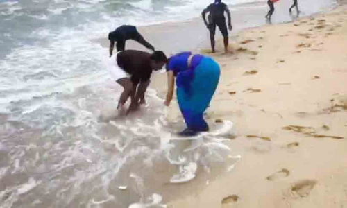 വടകര അഴിത്തല അഴിമുഖത്ത് മത്തിച്ചാകര