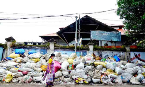 തെരുവുനായ് പേടി, മാലിന്യ ദുർഗന്ധം; പൊറുതിമുട്ടി ജനം