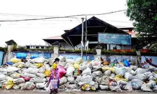 തെരുവുനായ് പേടി, മാലിന്യ ദുർഗന്ധം; പൊറുതിമുട്ടി ജനം