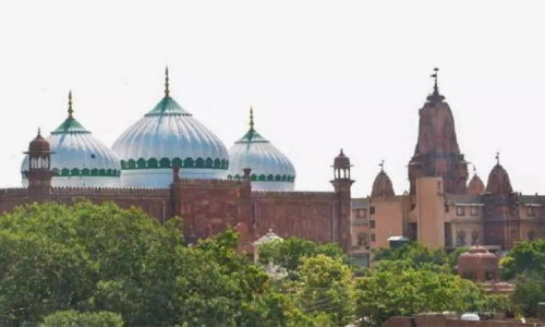 മീനാ മസ്ജിദും പൊളിച്ചുകളയണം; മഥുര കോടതിയിൽ ഹരജിയുമായി ഹിന്ദു മഹാസഭ