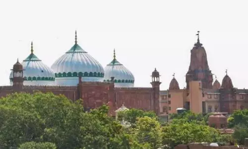 മീനാ മസ്ജിദും പൊളിച്ചുകളയണം; മഥുര കോടതിയിൽ ഹരജിയുമായി ഹിന്ദു മഹാസഭ