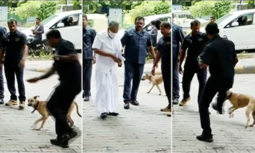 മുഖ്യമന്ത്രിക്ക് അടുത്തേക്ക് തെരുവുനായ്; ആട്ടിയോടിച്ച് സുരക്ഷാ ജീവനക്കാർ