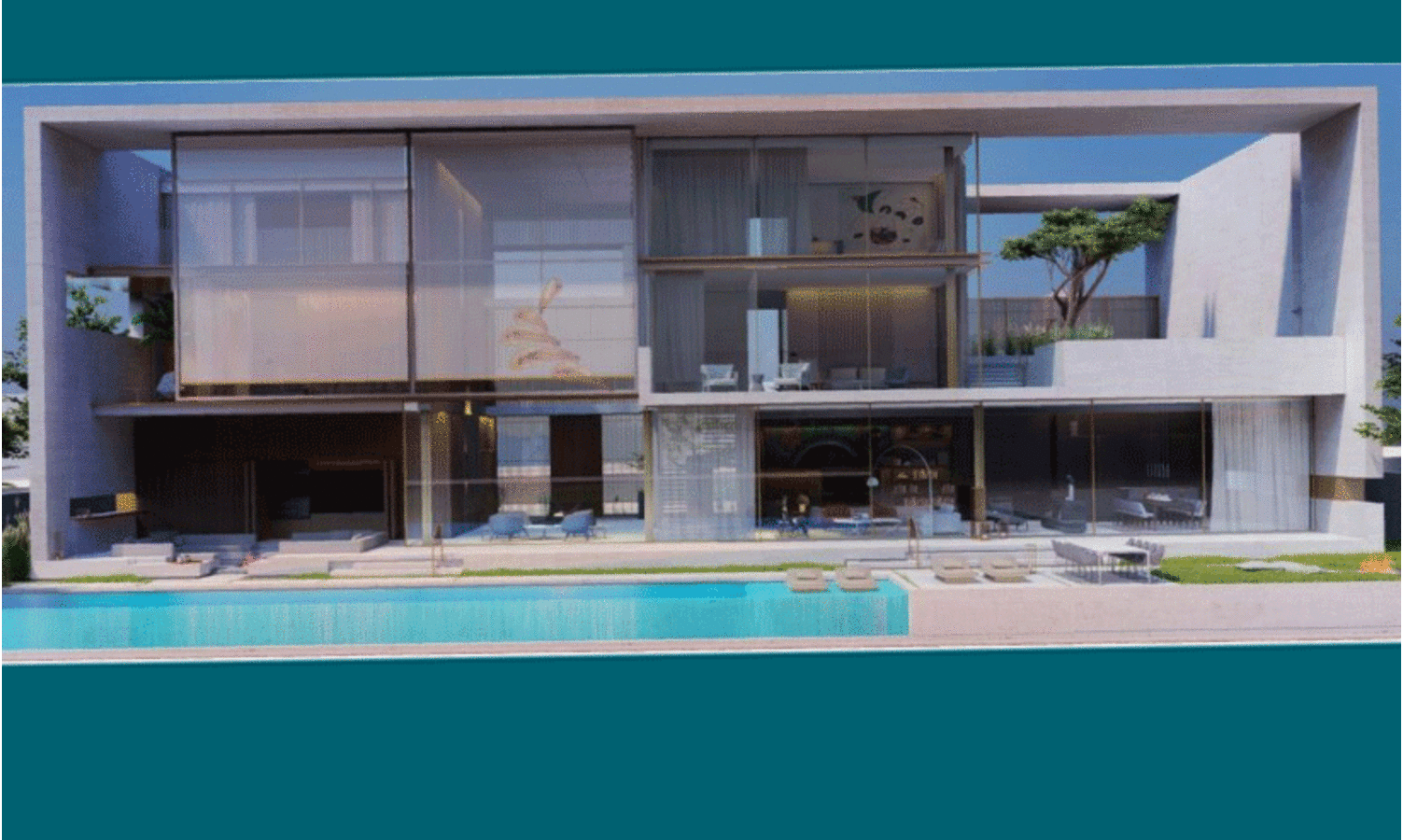 1600-year-old olive tree