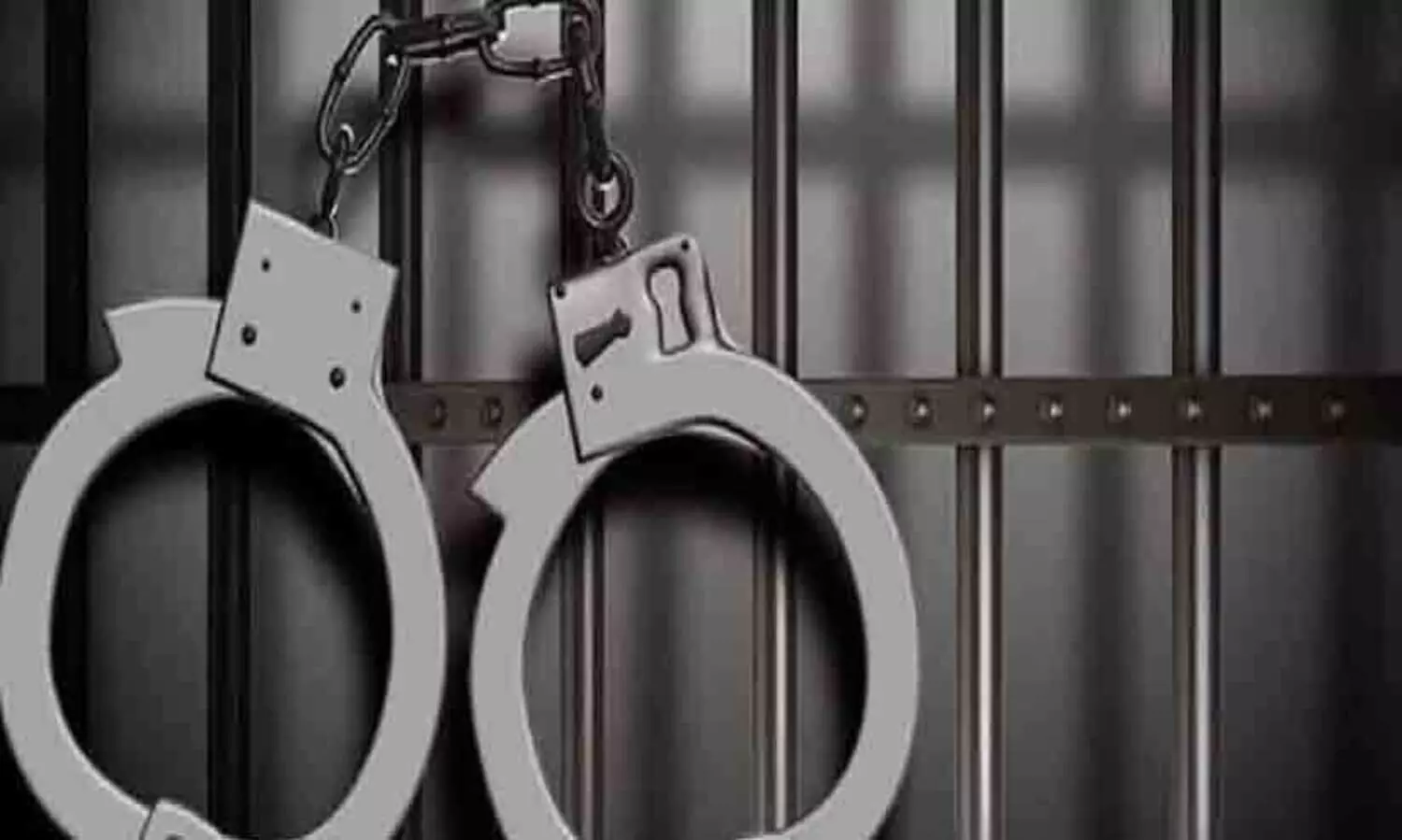 ജർമ്മൻ ചീഫ് കോൺസുലേറ്റിന്‍റെ വീട്ടിൽ നിന്ന് വജ്രാഭരണം മോഷ്ടിച്ച വേലക്കാരി പിടിയിൽ