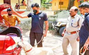 ലഹരി കടത്ത്: അതിർത്തിയിൽ മിന്നൽ പരിശോധന ലഹരി കടത്ത്: അതിർത്തിയിൽ മിന്നൽ പരിശോധന