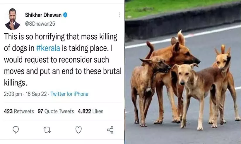 Its scary, mass killing of stray dogs in Kerala Another cricketer