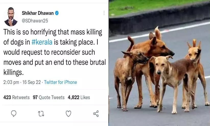 Its scary, mass killing of stray dogs in Kerala Another cricketer Its scary, mass killing of stray dogs in Kerala Another cricketer