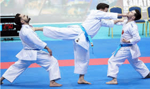 ഷോറിൻ കായ് ഇന്‍റർ നാഷനൽ കരാട്ടേ ചാമ്പ്യൻഷിപ്