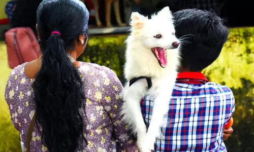 കോഴിക്കോട് ജില്ലയിലെ എല്ലാ പഞ്ചായത്തുകളിലും ഡോഗ് ഷെൽറ്റർ