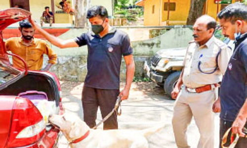 ലഹരി കടത്ത്: അതിർത്തിയിൽ മിന്നൽ പരിശോധന