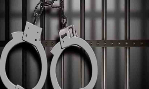 ജർമ്മൻ ചീഫ് കോൺസുലേറ്റിന്‍റെ വീട്ടിൽ നിന്ന് വജ്രാഭരണം മോഷ്ടിച്ച വേലക്കാരി പിടിയിൽ