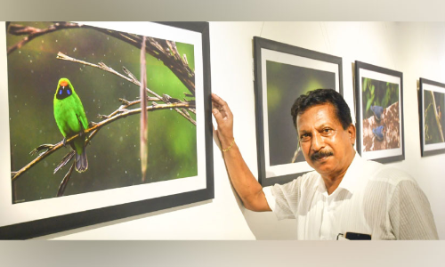 പക്ഷി വൈവിധ്യങ്ങളുടെ ഫോട്ടോ പ്രദർശനം