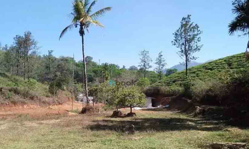 ന്യായവില രേഖപ്പെടുത്തിയതിൽ അപാകത; കൽപറ്റ വില്ലേജിലെ ഭൂവുടമകൾ വലയുന്നു ന്യായവില രേഖപ്പെടുത്തിയതിൽ അപാകത; കൽപറ്റ വില്ലേജിലെ ഭൂവുടമകൾ വലയുന്നു