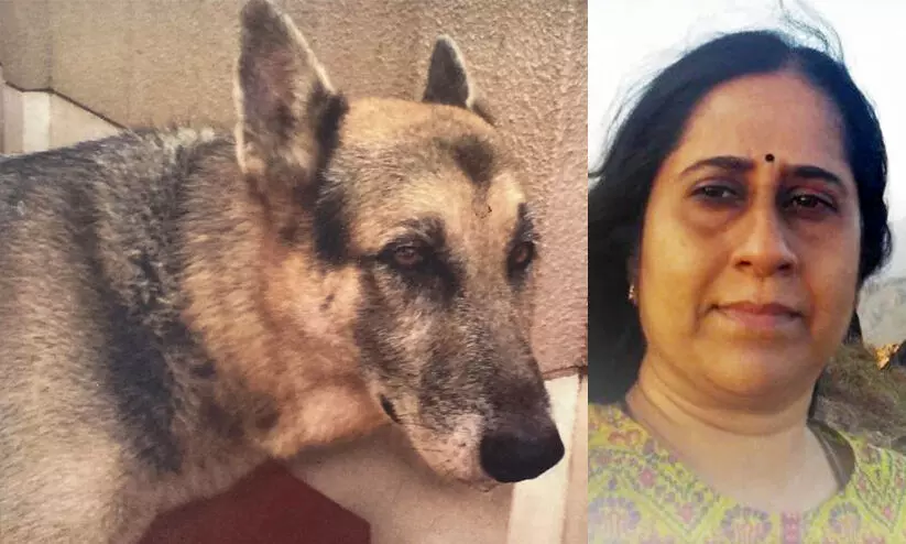 lekshmi rajeev- Jack