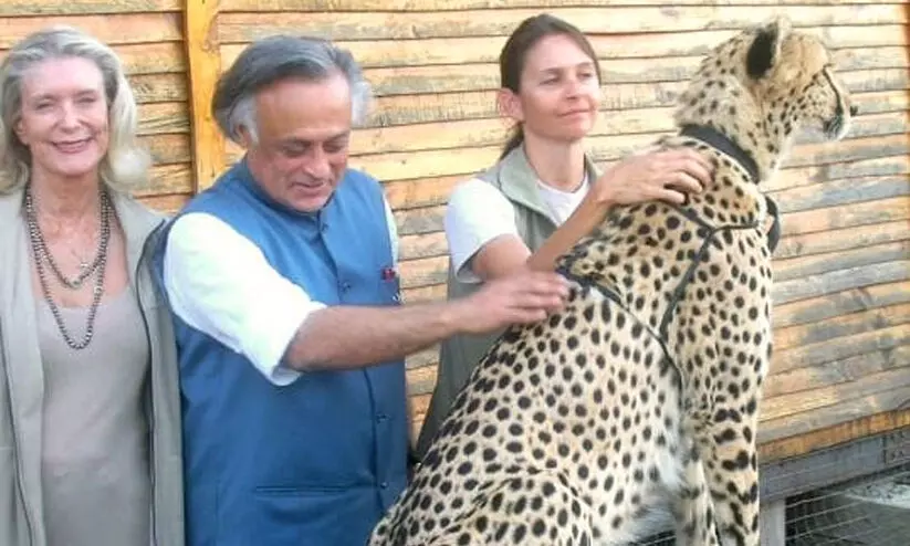 Jairam Ramesh- cheetahs Jairam Ramesh- cheetahs