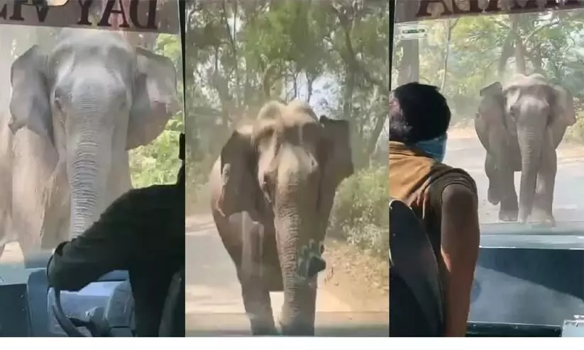 Elephants Did Highway Jam For Three Hours to save the little Gajraj