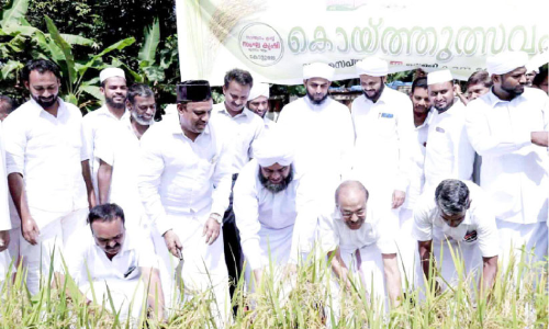 To restore agricultural culture Must step forward Kunhalikutty