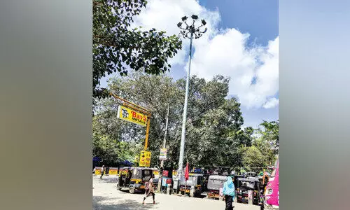 street light street light