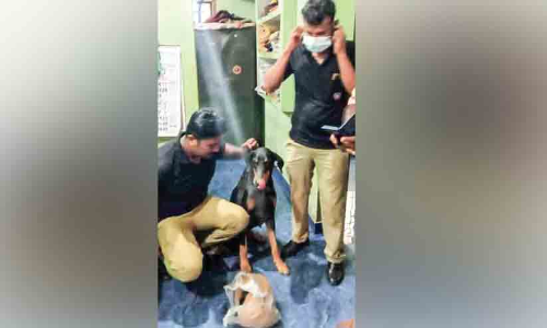 പൊലീസ് നായുടെ സഹായത്താൽ ചേറ്റുവയിൽ കഞ്ചാവ് വേട്ട