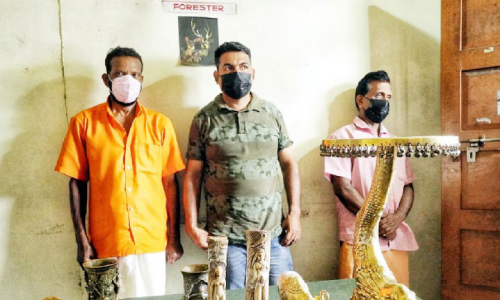 Three people were arrested for trying to sell sculptures made of ivory