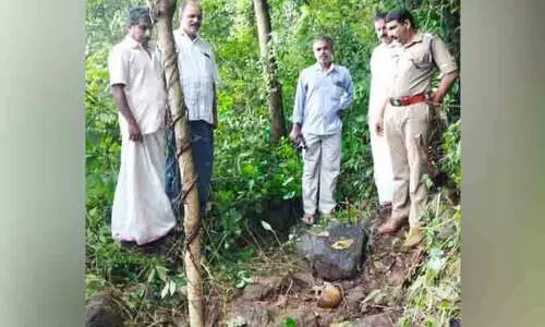 വലിയരീക്കാമലയിൽ തലയോട്ടി കണ്ടെത്തി