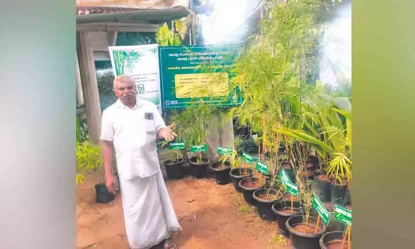 ഇന്ന് ലോക മുളദിനം: 56 ഇനം മുളകൾക്ക് വിത്തുപാകി കർഷകമിത്ര അവാർഡ്​ ജേതാവ്