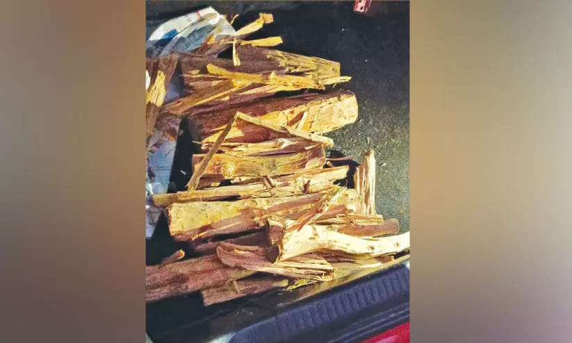 23 കിലോ ചന്ദനവുമായി മൂന്നു പേർ അറസ്റ്റിൽ