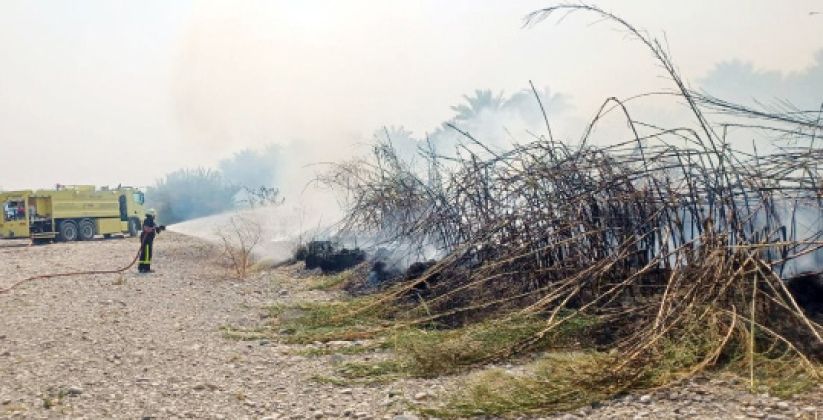 ദാഖിലിയയിൽ കൃഷിയിടത്തില് തീപിടിത്തം ദാഖിലിയയിൽ കൃഷിയിടത്തില് തീപിടിത്തം