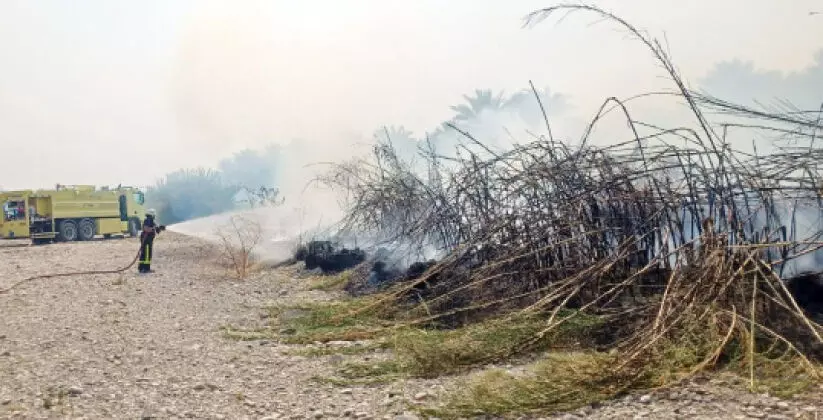 ദാഖിലിയയിൽ കൃഷിയിടത്തില്‍ തീപിടിത്തം