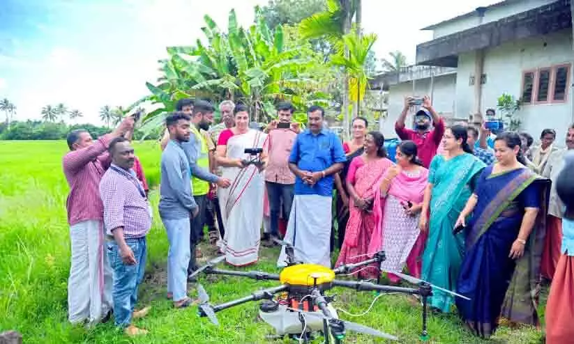 കീടനാശിനി തളിക്കാൻ ഇനി ഡ്രോണുകൾ കീടനാശിനി തളിക്കാൻ ഇനി ഡ്രോണുകൾ
