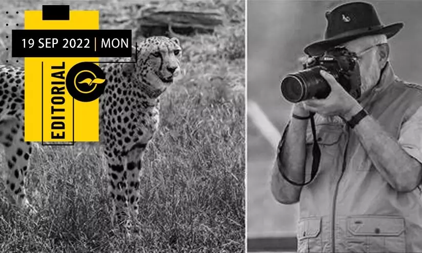 ചീറ്റപ്പുലിയിലും രാഷ്ട്രീയമോ? ചീറ്റപ്പുലിയിലും രാഷ്ട്രീയമോ?