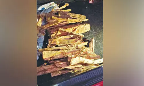 23 കിലോ ചന്ദനവുമായി മൂന്നു പേർ അറസ്റ്റിൽ