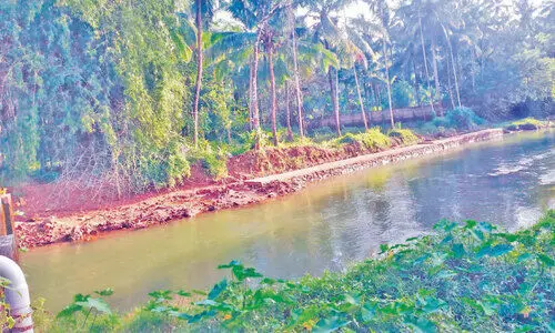 പുനരുജ്ജീവന പദ്ധതി; ഒന്നാംഘട്ട പ്രവൃത്തി പാതിവഴിയിൽ