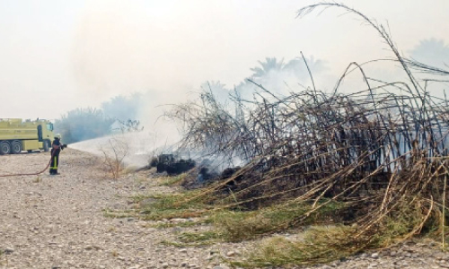 ദാഖിലിയയിൽ കൃഷിയിടത്തില്‍ തീപിടിത്തം