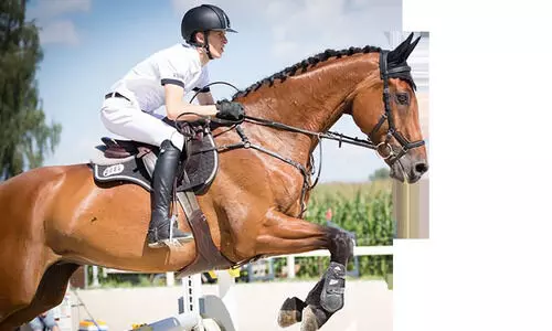 കുതിര സവാരി ദുബായിൽ