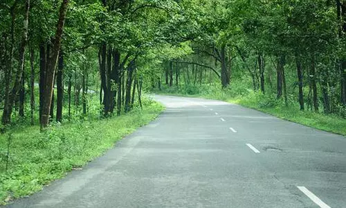 ബന്ദിപൂർ കടുവ സങ്കേതം: ദേശീയപാത 766ലെ രാത്രിയാത്ര നിരോധനം നീക്കാനാകില്ലെന്ന് കർണാടക