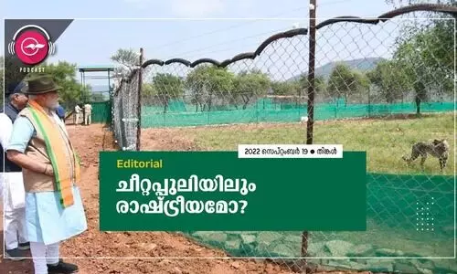 ചീറ്റപ്പുലിയിലും രാഷ്ട്രീയമോ?