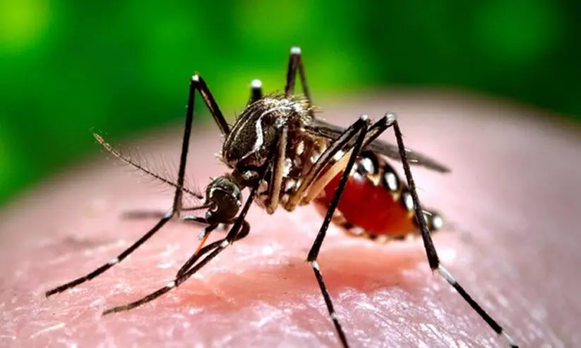 Uttarakhand reports 37 dengue cases in single day; states tally breaches 500 mark