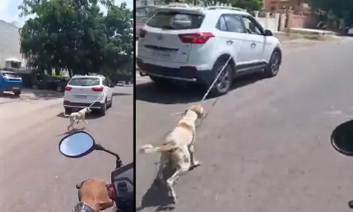 നായയെ കാറിൽ കെട്ടിവലിച്ച് ക്രൂരത; ഡോക്ടർക്കെതിരെ പ്രതിഷേധം VIDEO