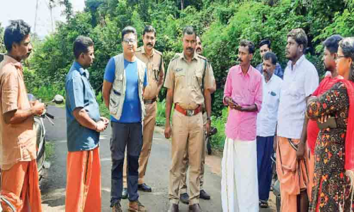 ആറ്റൂർ നായാടി കോളനിയിൽ കാട്ടാന; വൻ കൃഷിനാശം