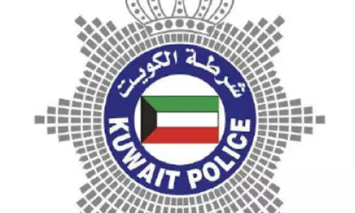 വൻതോതിൽ ലഹരിവസ്തുക്കളുമായി രണ്ടുപേർ പിടിയിൽ