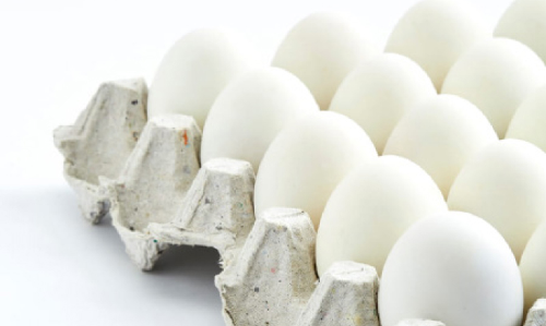 ലോകകപ്പിൽ കോളടിച്ച് മുട്ട