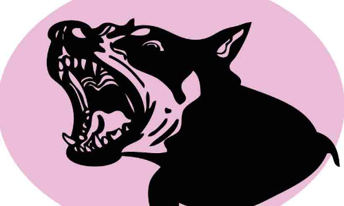 തെരുവുനായ് ശല്യം രൂക്ഷം; ആട് വളർത്തൽ പ്രതിസന്ധിയിൽ