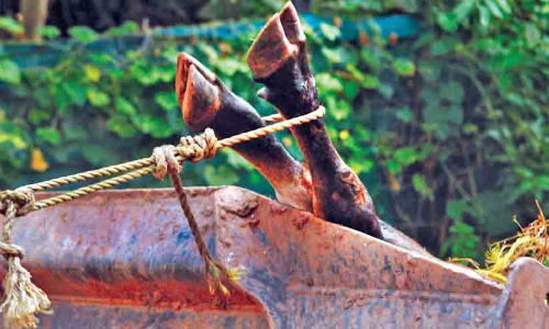 കണ്ണൂരിൽ പേയിളകിയ പശുവിന്റെ അതിക്രമം; നാലുപേർക്ക് പരിക്ക് കണ്ണൂരിൽ പേയിളകിയ പശുവിന്റെ അതിക്രമം; നാലുപേർക്ക് പരിക്ക്
