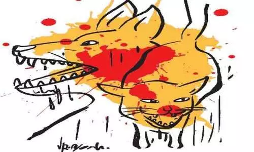 തിരുവനന്തപുരം ജില്ലയിൽ തെരുവുനായ് ആക്രമണം രൂക്ഷം തിരുവനന്തപുരം ജില്ലയിൽ തെരുവുനായ് ആക്രമണം രൂക്ഷം