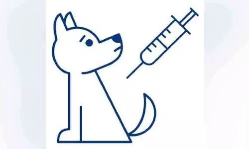 ഇരിങ്ങാലക്കുട നഗരസഭയിൽ വളർത്തുനായ്ക്കൾക്ക് വാക്സിനേഷൻ ക്യാമ്പ് ആരംഭിച്ചു