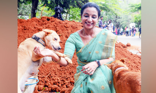 About three dogs on the CMS college campus