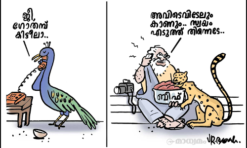 സ്വയം എടുത്ത് തിന്നെടേ...!