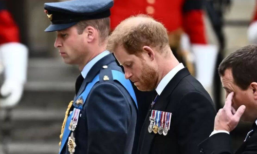 Prince Harry accused of being ‘disrespectful’ to the crown Prince Harry accused of being ‘disrespectful’ to the crown